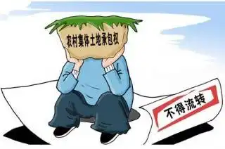 到2021年底基本完成农村集体产权制度改革