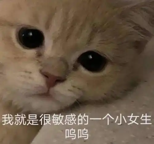 我看你是个大伞兵