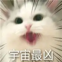 网红猫咪超凶表情包大全猫咪超凶巨凶宇宙最凶表情包