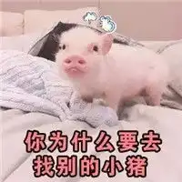 可爱萌萌哒的精致小猪猪微信恶搞表情包合集