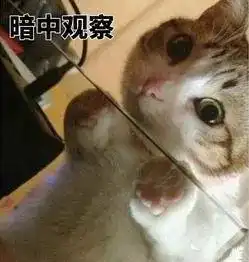 新生季开学第一课