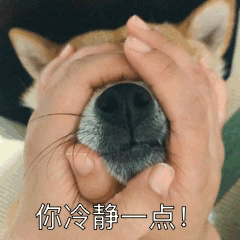 斗图表情包gif图合集你冷静一点