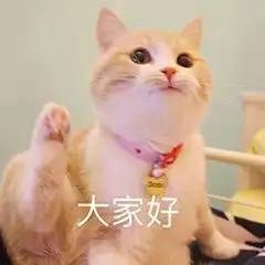 测试一个超长简介的文章