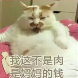 时事委内瑞拉经济崩溃,俄罗斯又一次站了出来