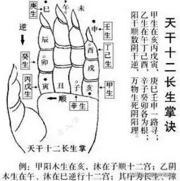 天干地支对应的五行