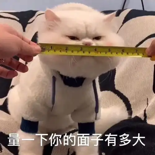 心动文案忧最近很火的搞笑歇后语
