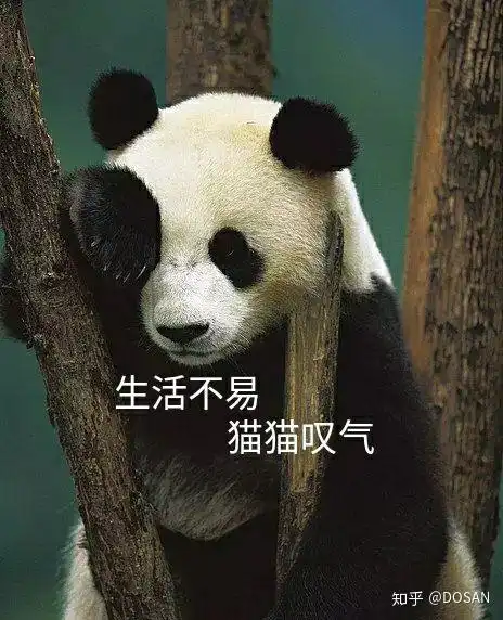 熊猫3生活不易猫猫叹气