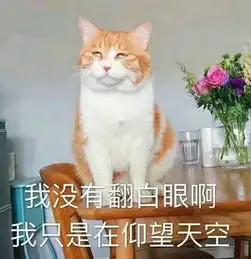 如何评价爱奇艺泡泡七夕直男考卷的内容