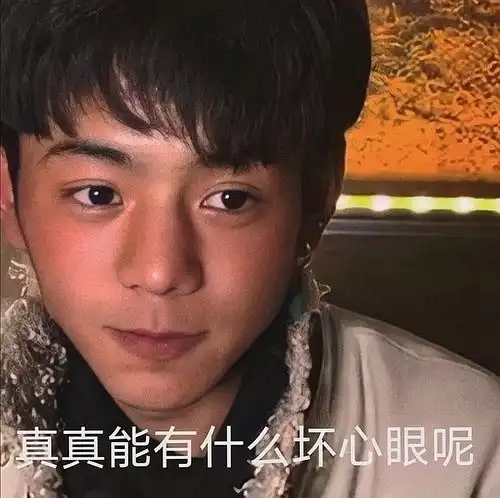 丁真表情包