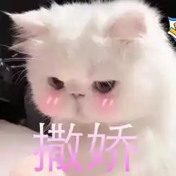 我和我的祖国带你走进他们的故事