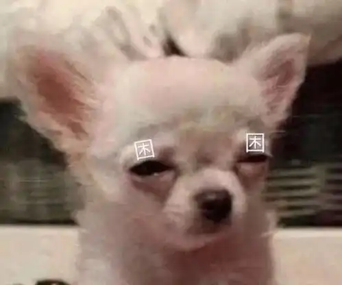 搞笑表情包看,哥给你梳头发,今晚不回家