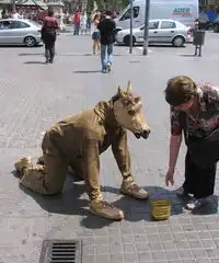 这才是真正的跪求