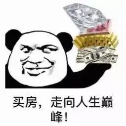 熊猫头炫富表情包一名贫困群员路过