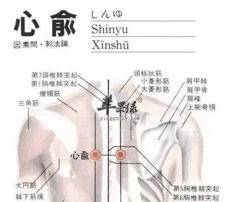 36个人体特效穴位的作用,要字有字,要图有图,就差你看了搜狐科技搜狐网