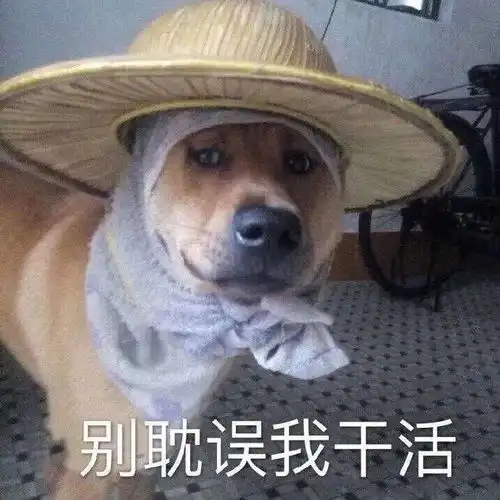 好玩的可爱表情包