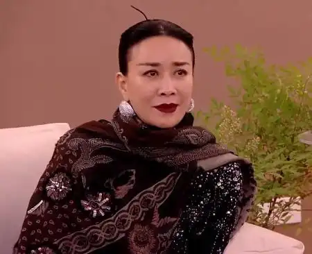 歌手2024过后,那英评论区炸了,甚至遭到了央媒亲自点评