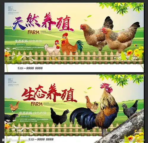 养鸡场设计图