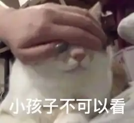 男人八卦起来,就没有女人什么事了