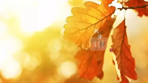 溪上吟草溪水二十四节气诗词小集