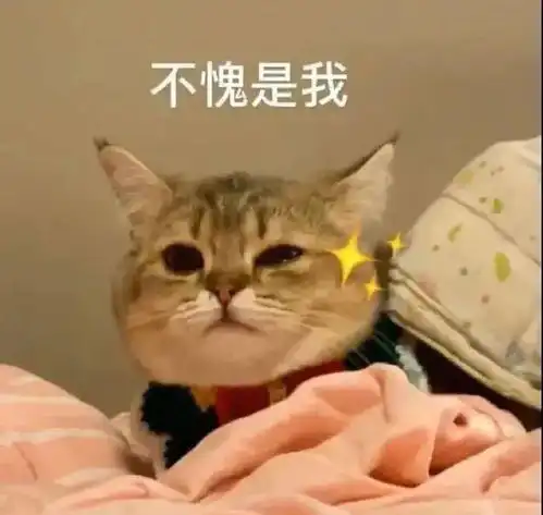 代表宇宙省银河市祝福你