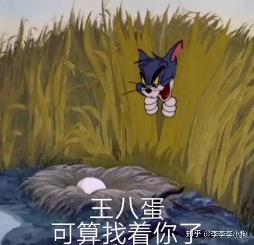 可以分享一些高端骂人的表情包么