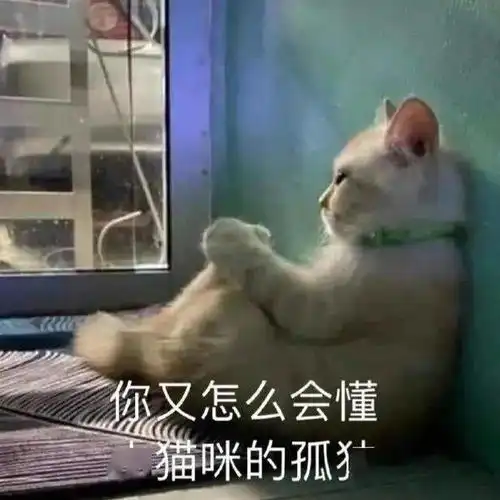 微信聊天必备表情包大全