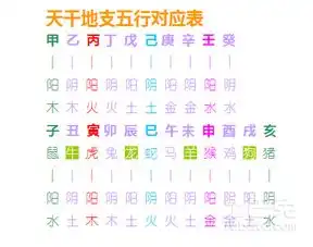 干支与五行都有哪些