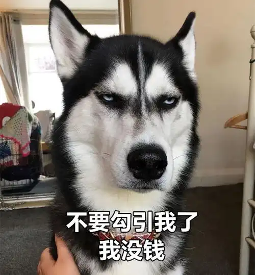 有的人虽然双11破产了,但依旧是表情包大户