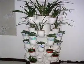 老爸diy的花盆搞的全家人哭笑不得,密集恐惧症慎点
